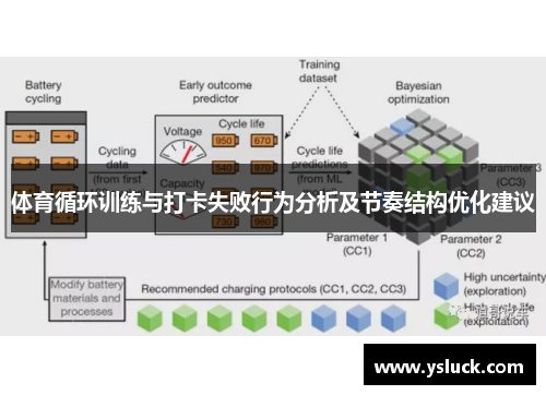 体育循环训练与打卡失败行为分析及节奏结构优化建议