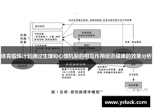 体育锻炼计划通过生理和心理机制的相互作用促进健康的效果分析