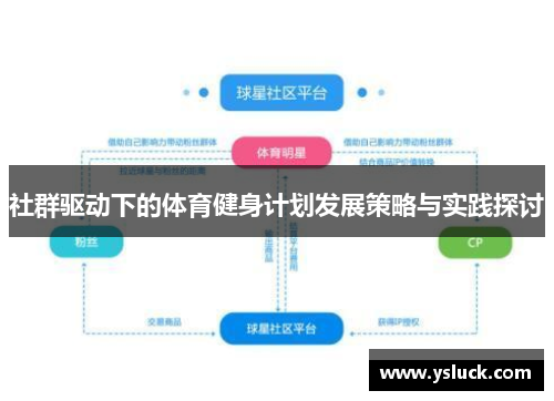 社群驱动下的体育健身计划发展策略与实践探讨
